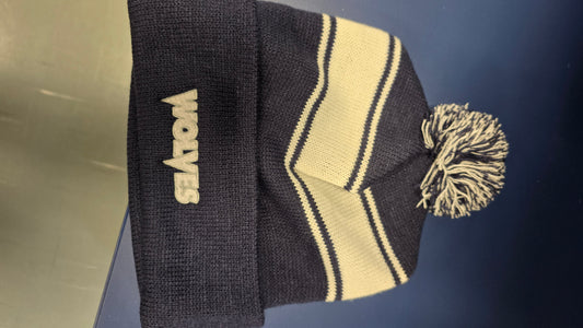Striped Beanie with a pom